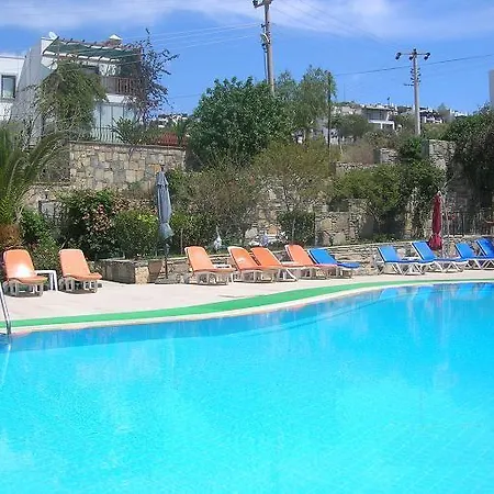 Mini Star Hotel 2*