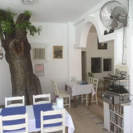 Mini Star בודרום