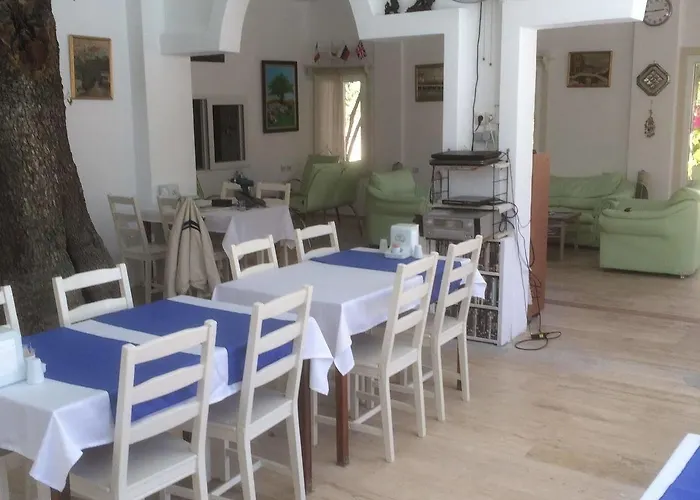 Mini Star ホテル 2*